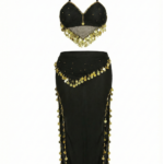 Elegant Black & Gold Coin Belly Dance Two-Piece Set with Double Slit Skirt DS0005