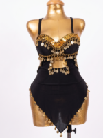 Classic Black Mesh Belly Dance Hip Scarf with Tiered Silver Coins