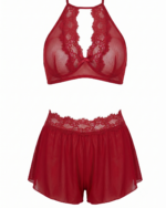 Romantic Sheer Mesh & Lace Halter Two-Piece Sleepwear Set - Image 2